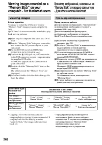Страница 262