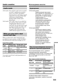 Страница 313
