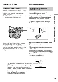 Страница 43
