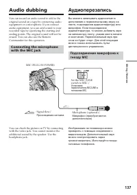 Страница 137
