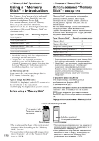 Страница 170