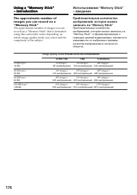 Страница 176