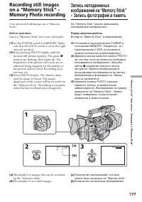 Страница 177