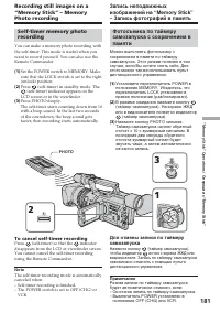 Страница 181