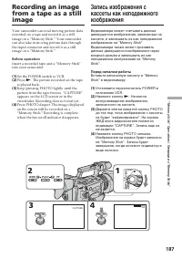 Страница 187