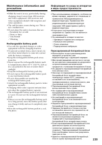Страница 239