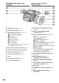Страница 246