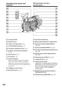 Страница 250