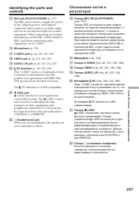 Страница 251