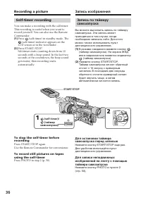Страница 36