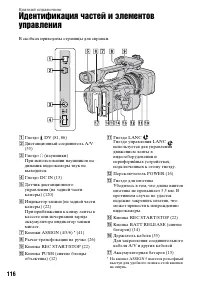 Страница 116