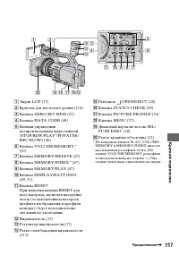 Страница 117