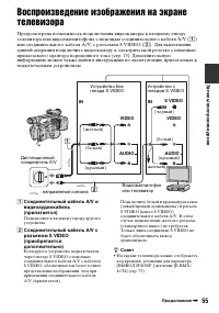 Страница 55