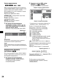 Страница 24