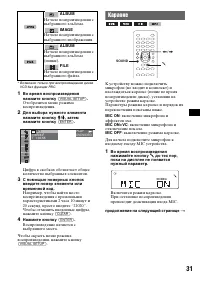 Страница 31