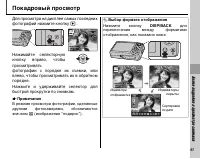 Страница 55