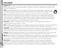 Страница 116