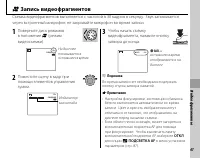 Страница 55