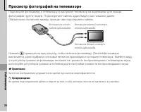 Страница 58