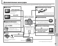 Страница 119