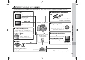 Страница 121