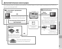Страница 101
