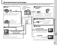 Страница 119