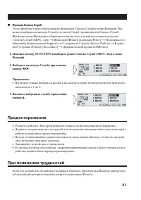Страница 21