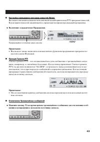Страница 43