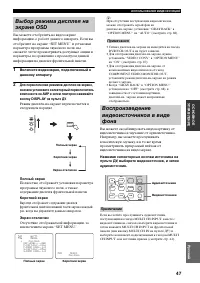 Страница 49