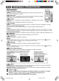 Страница 17