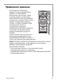 Страница 31
