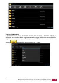 Страница 25