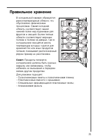 Страница 21