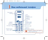 Страница 11