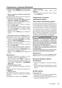 Страница 25