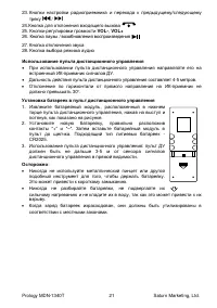 Страница 21