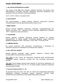 Страница 31