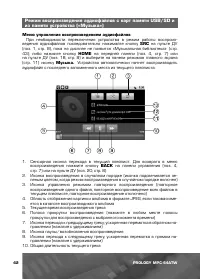 Страница 43