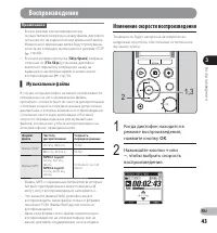 Страница 43