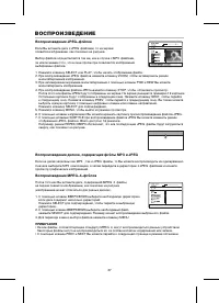 Страница 29