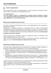 Страница 13