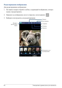 Страница 66