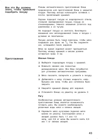 Страница 43