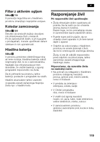 Страница 119