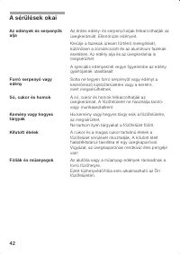 Страница 42