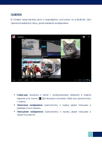 Страница 22