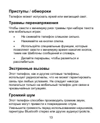 Страница 13