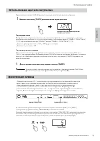 Страница 23