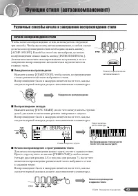 Страница 43